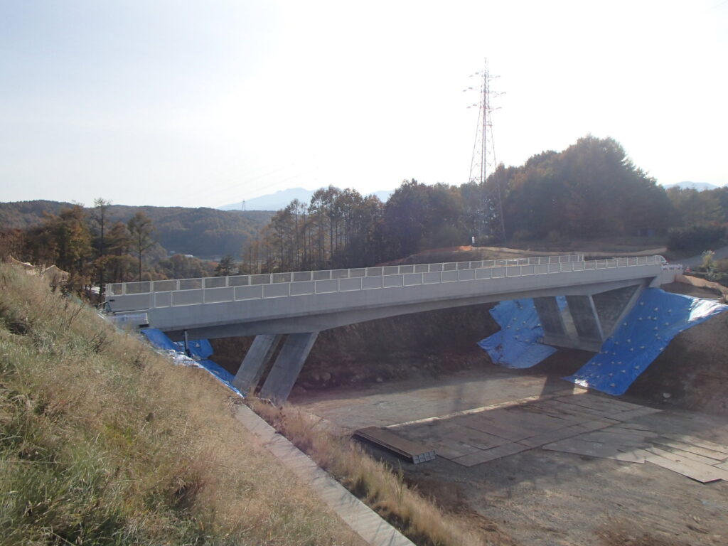 宮の入地区跨道橋